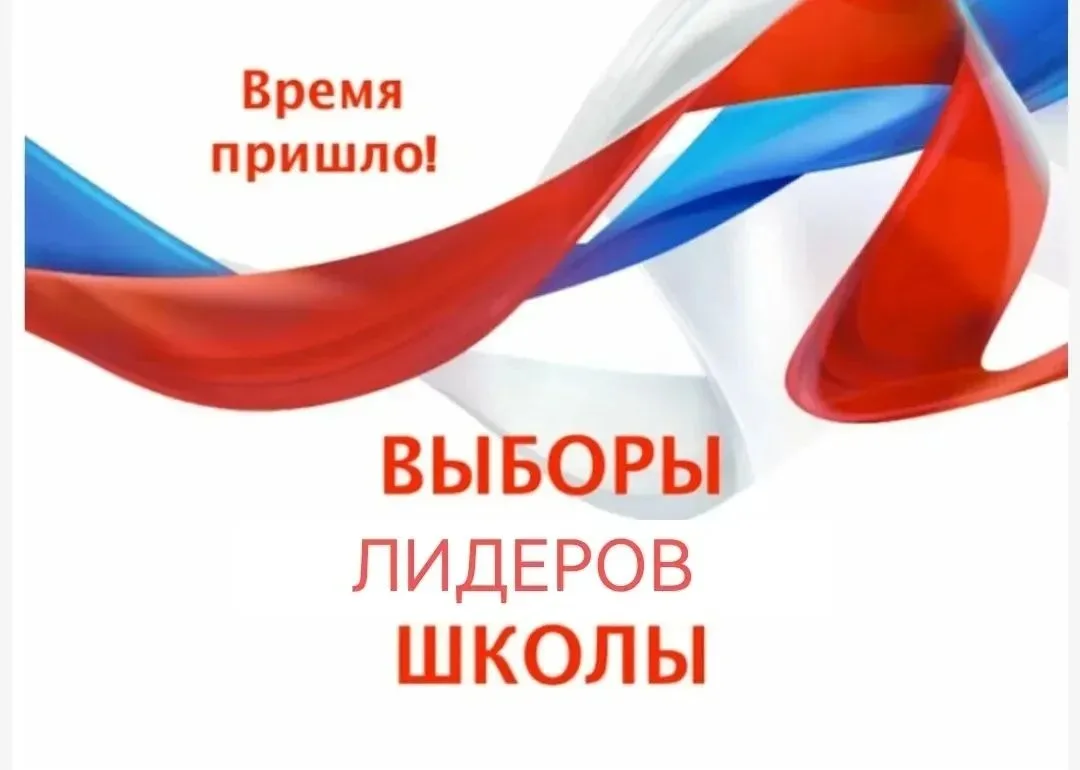 Выборы приближаются!