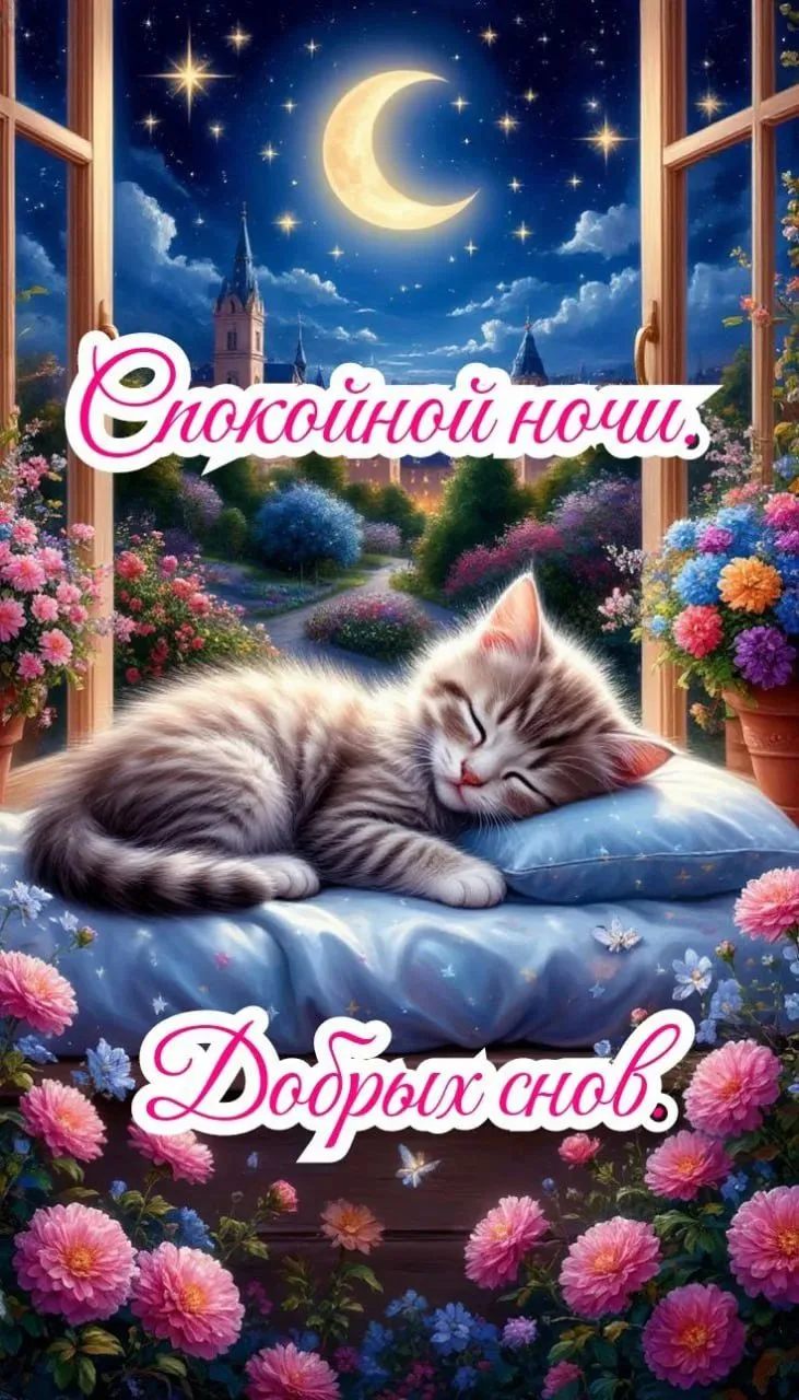 Всем желаю спокойной ночи и сладких снов. Спасибо 🙏🙏🙏 за внимание. До завтра мои люб...