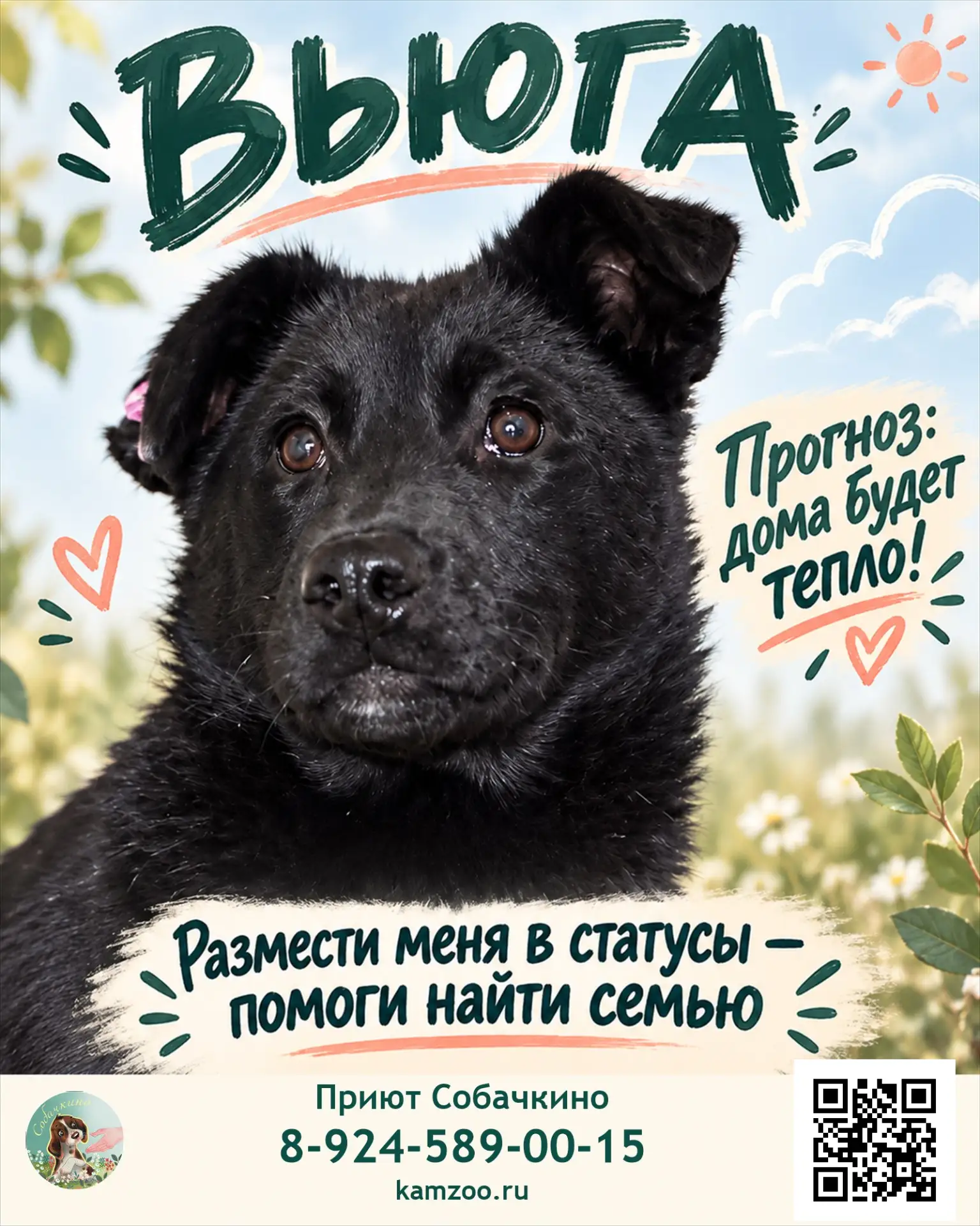 Вьюга ищет дом. ❤️