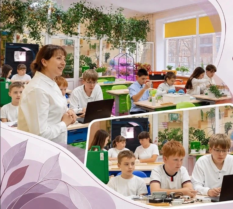 🌱 От профессиональной пробы — к региональной образовательной практике