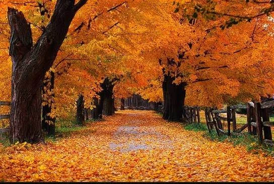 🍂 Наполните осень красками вместе с нами!