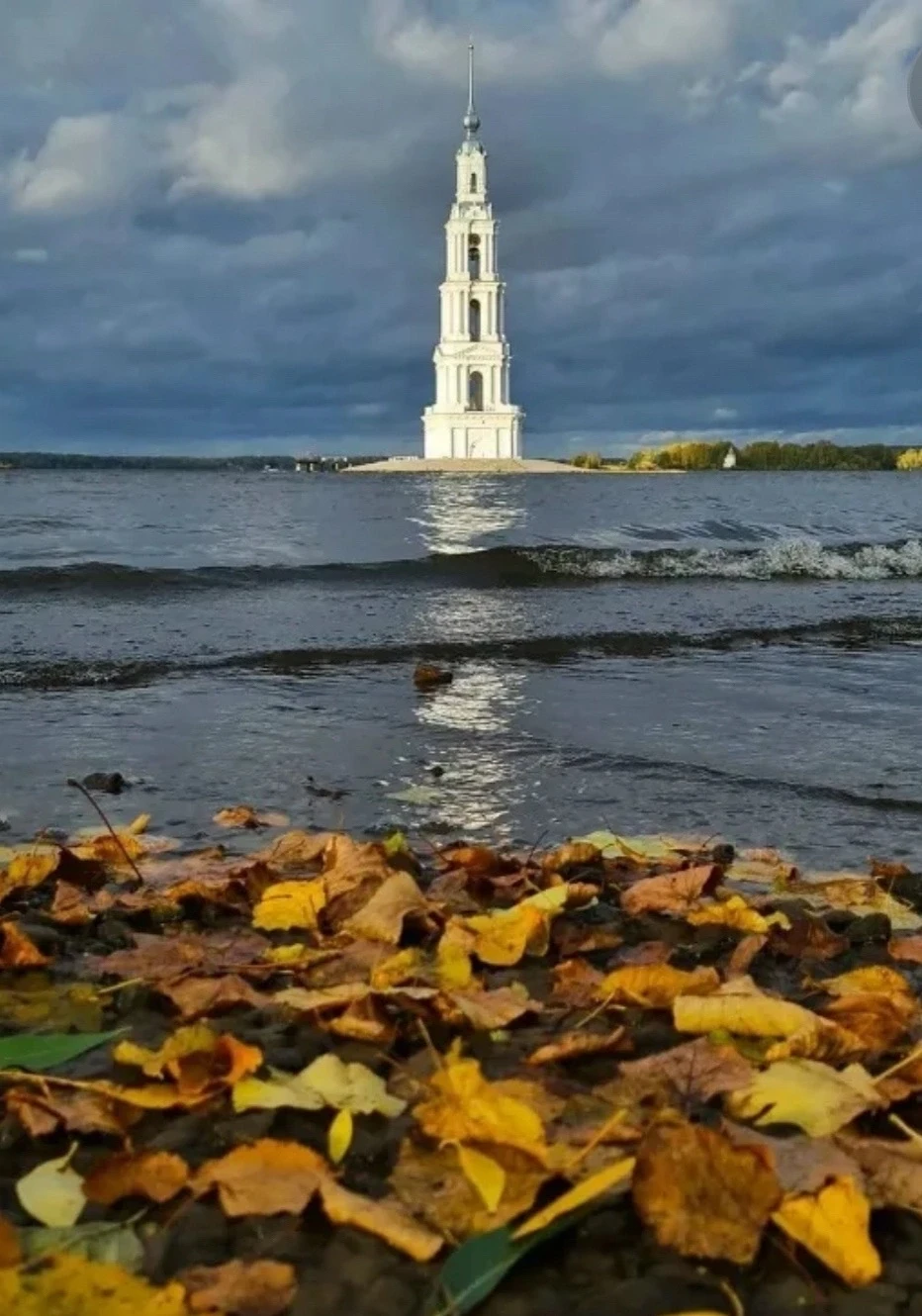 Дорогие художники!