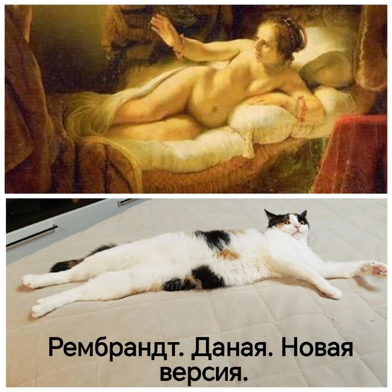 ✨ Современное кошачье искусство