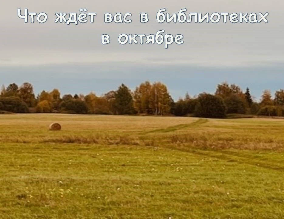 Друзья! 👋В октябре в библиотеках вас ждут выставки, литературные гостиные, мастер-клас...