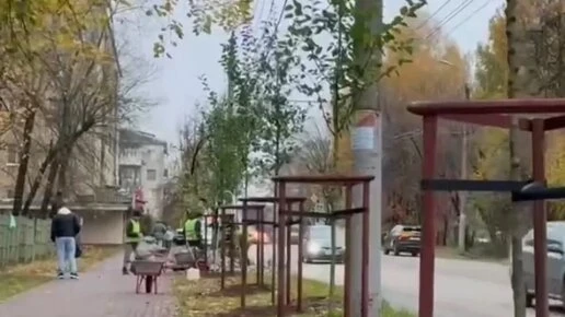 🌳 Яблони вместо опасных деревьев