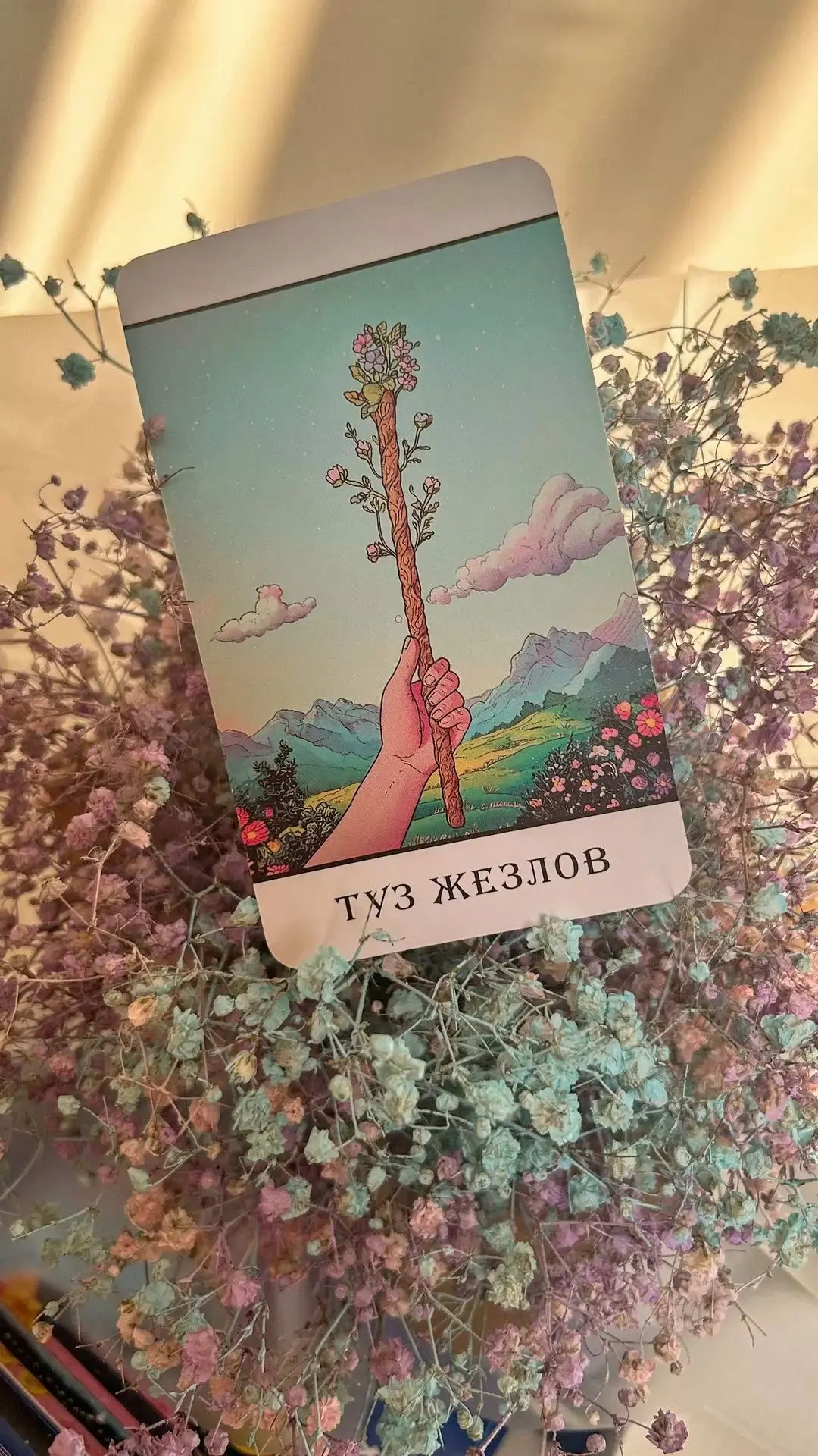 🔥 КАРТА ДНЯ — ТУЗ ЖЕЗЛОВ
