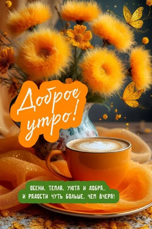 Доброго и прекрасного! 🌞