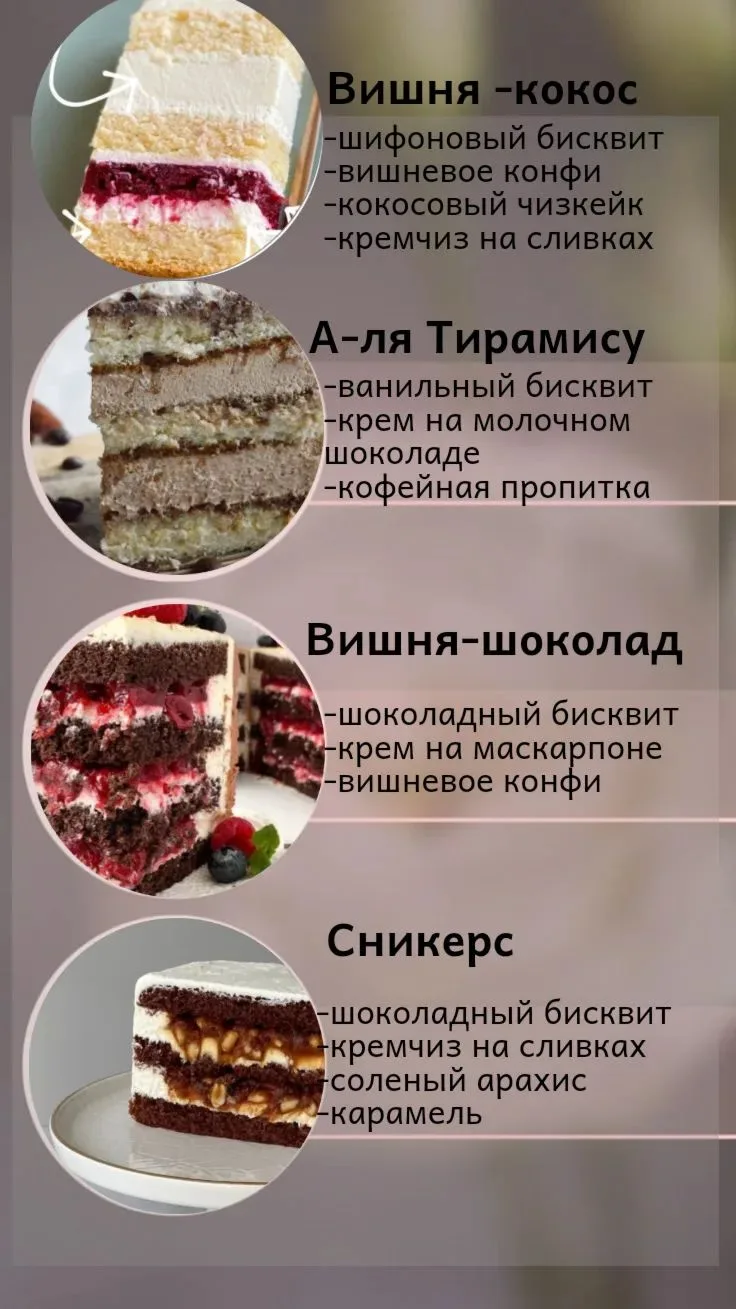 Бенто S-450 гр. -1700₽