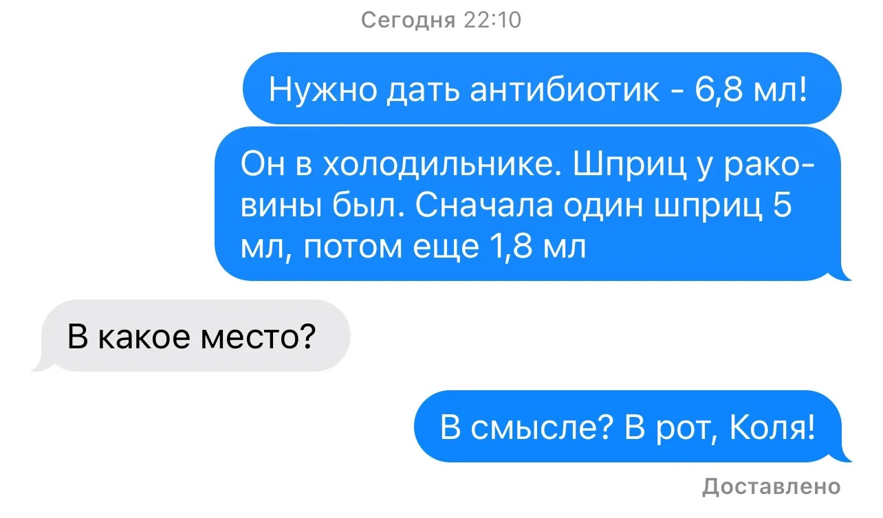 Если меня вдруг не станет (Не дай Бог!), мои дети без меня умрут🫣🤭 Или их ждет мучите...