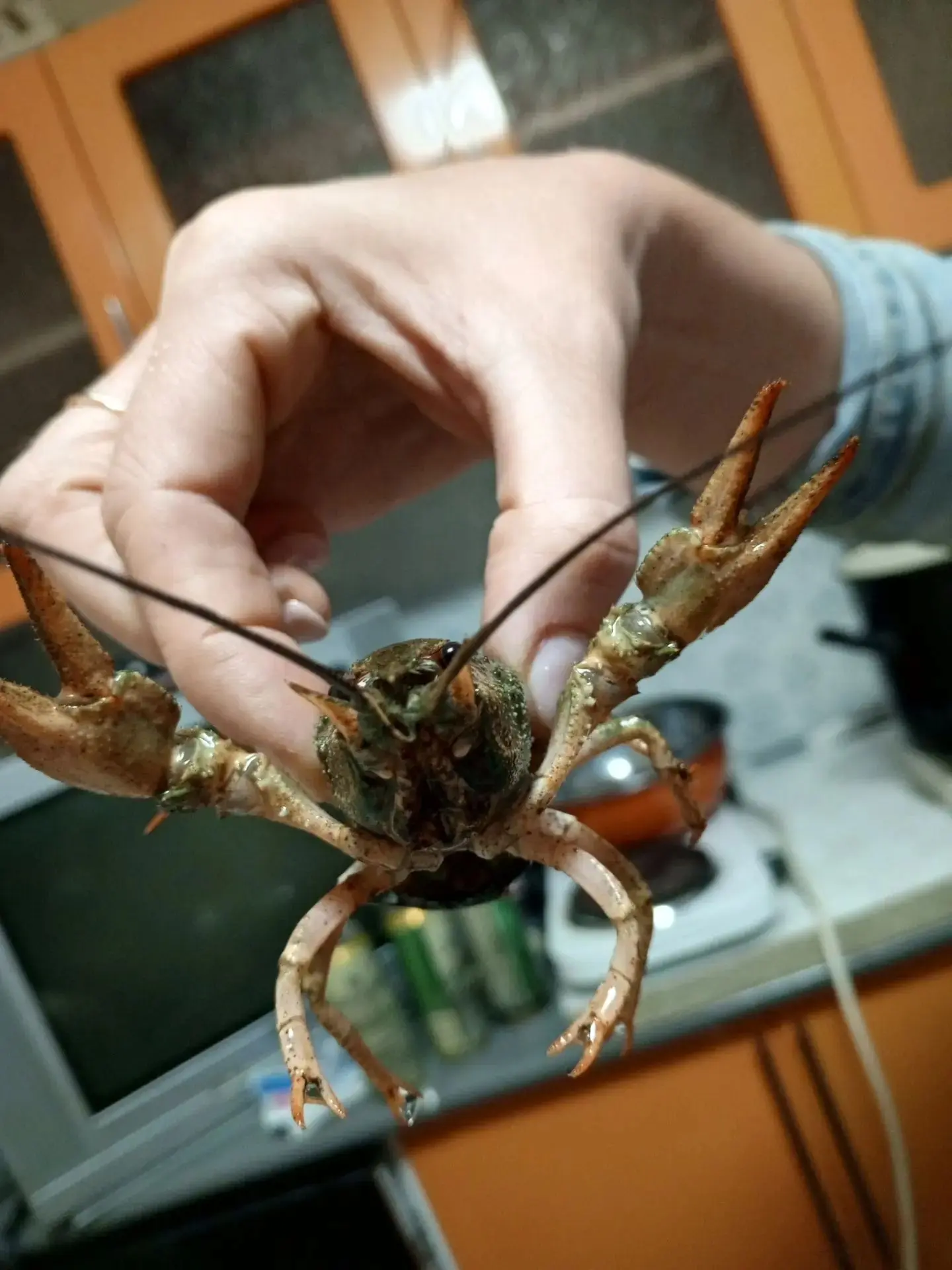 Подписчик поделился своим воскресным ужином 😋