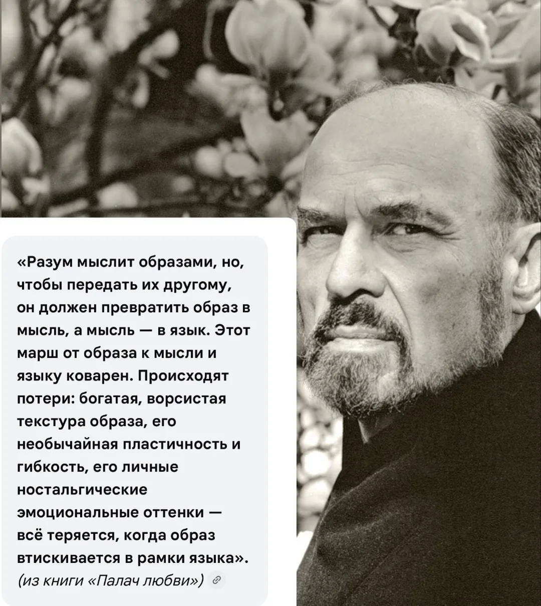 🙈 Коллеги, неужели во вчерашнем видео вы тоже почувствовали перебор моих эмоций? Я зам...