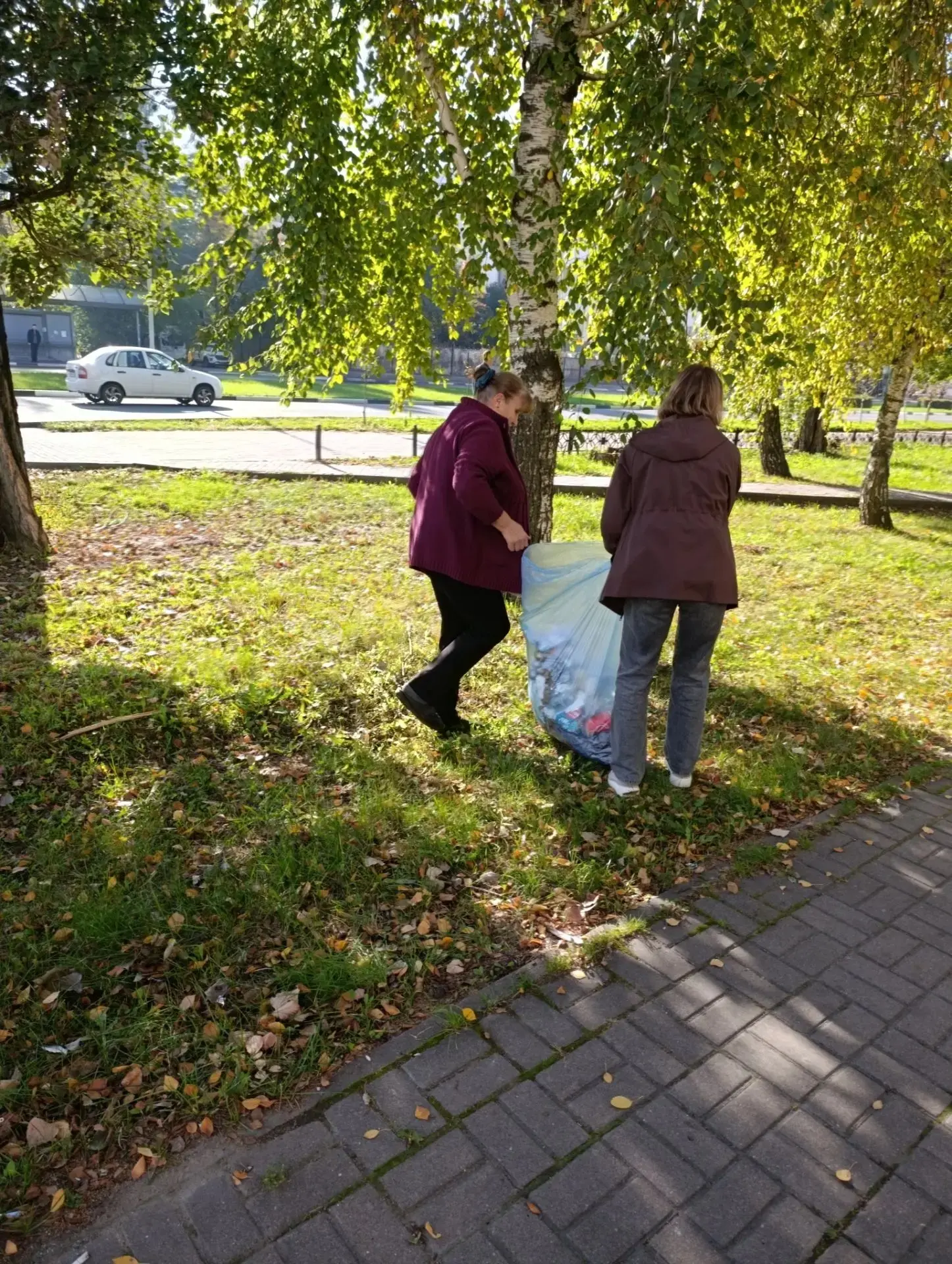 🍂 Золотая осень — не только буйство красок, но и замечательная пора для наведения чист...