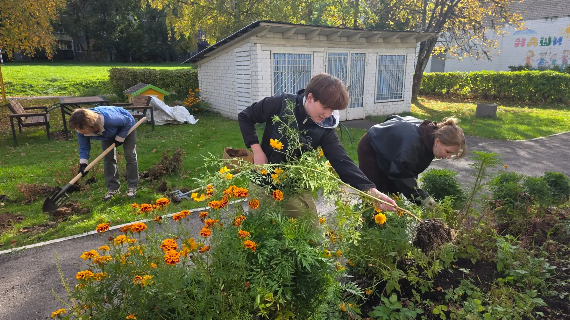 ☘️🍁🍂Участники агрогруппы  завершают летний сезон на цветниках с конкретным набором за...
