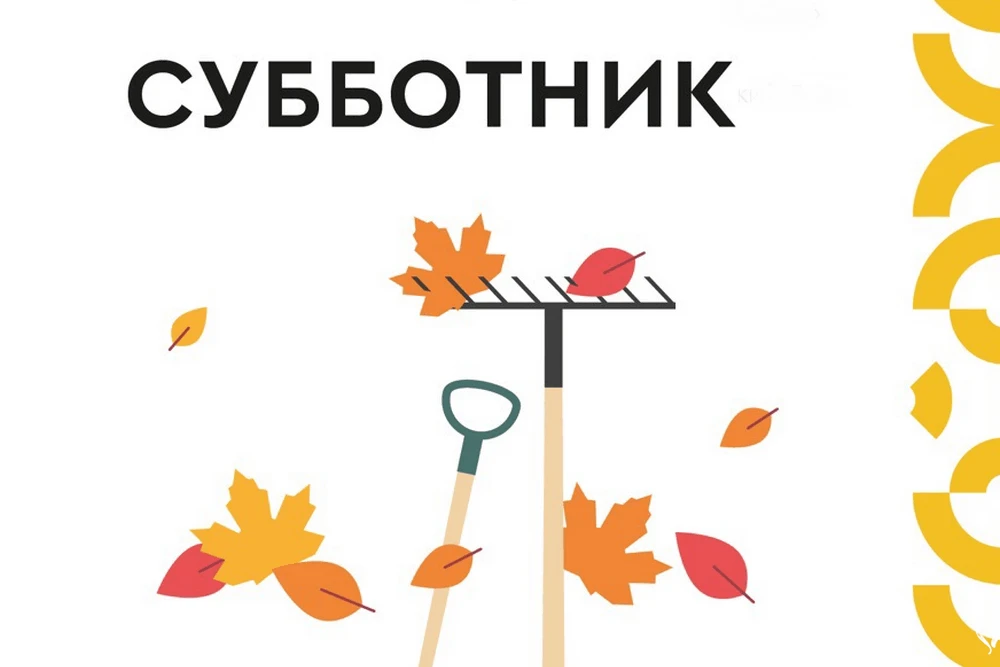 Коллектив Министерства спорта Республики Марий Эл и подведомственных учреждений примет ...
