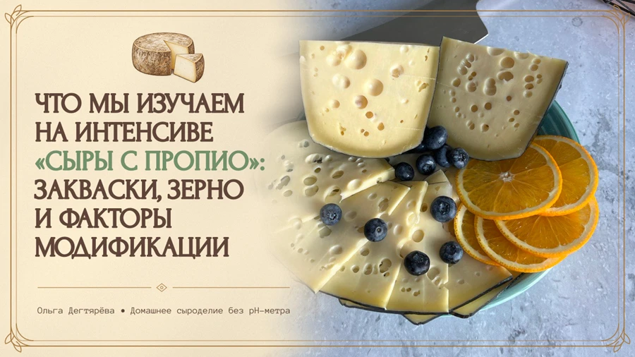 ЧТО МЫ ИЗУЧАЕМ НА ИНТЕНСИВЕ «СЫРЫ С ПРОПИО»: ЗАКВАСКИ, ЗЕРНО И ФАКТОРЫ МОДИФИКАЦИИ