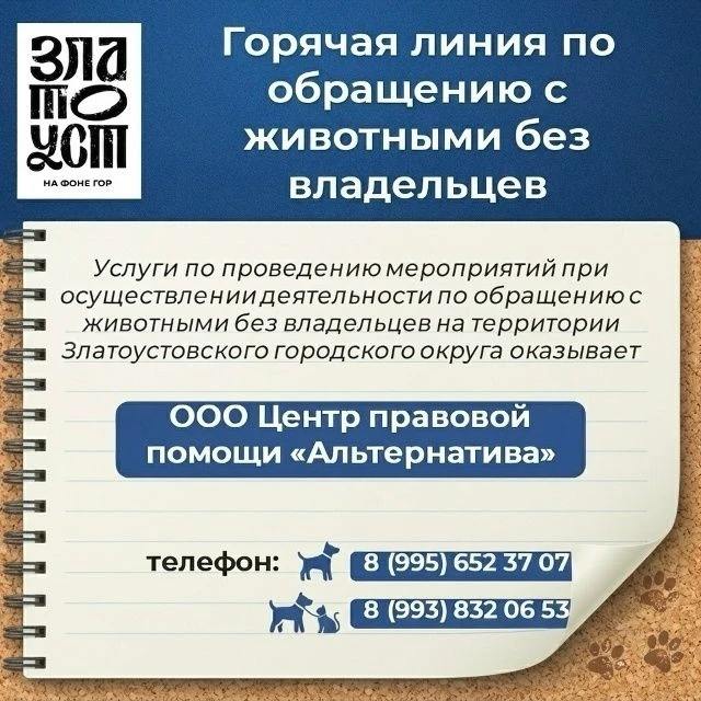Напоминаем! В Златоусте действует «горячая линия» по вопросам обращения с безнадзорными...