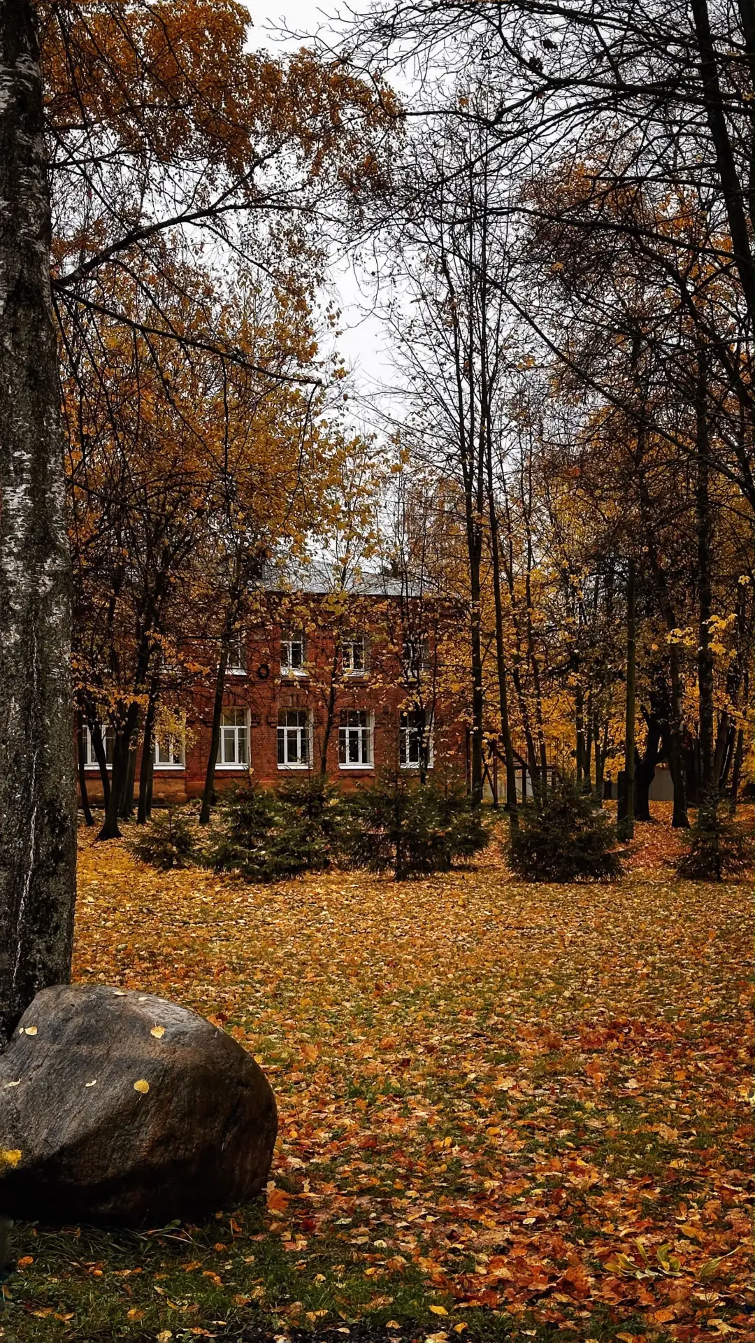 🍂Смотрите, как красиво осенью на территории детской художественной школы