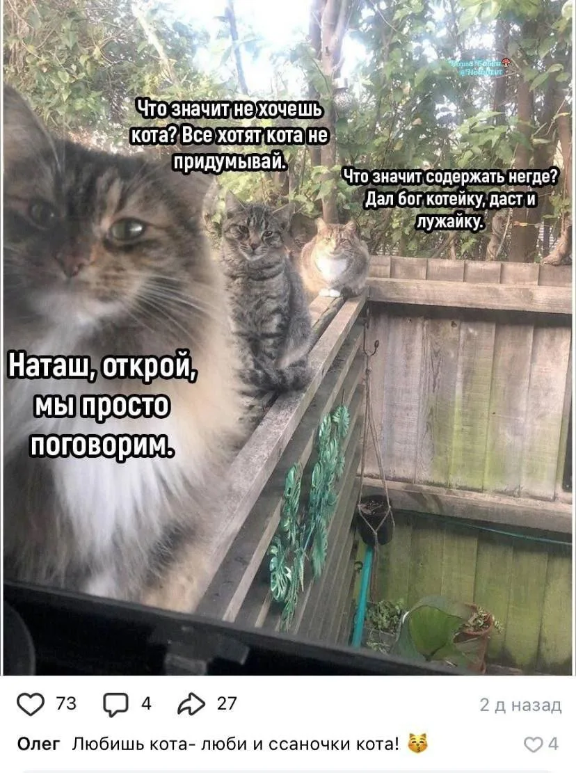 Тук-тук. Открывай, Наташа!