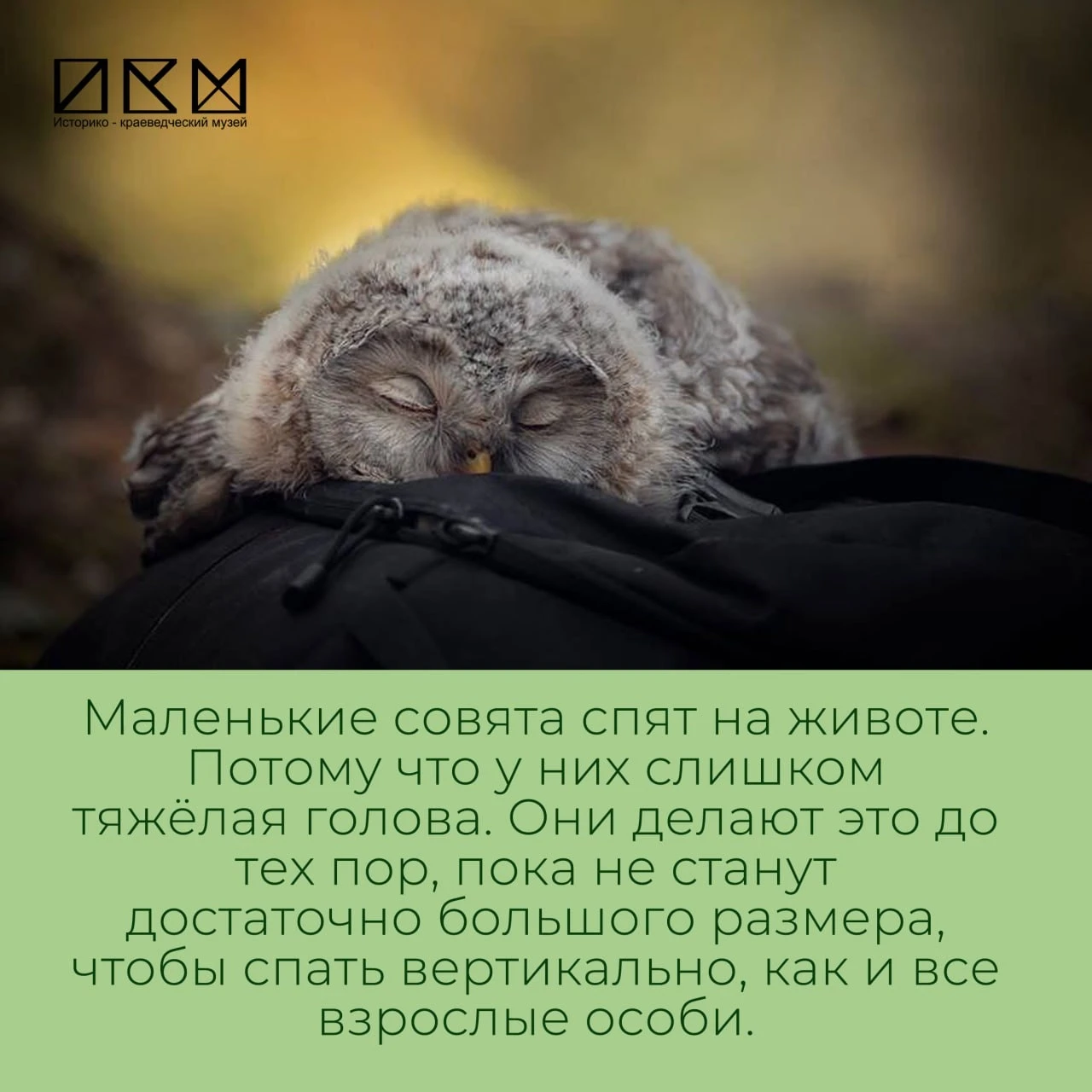 Еще больше интересных фактов расскажем на обзорных экскурсиях! Приходите в #музейсейчас