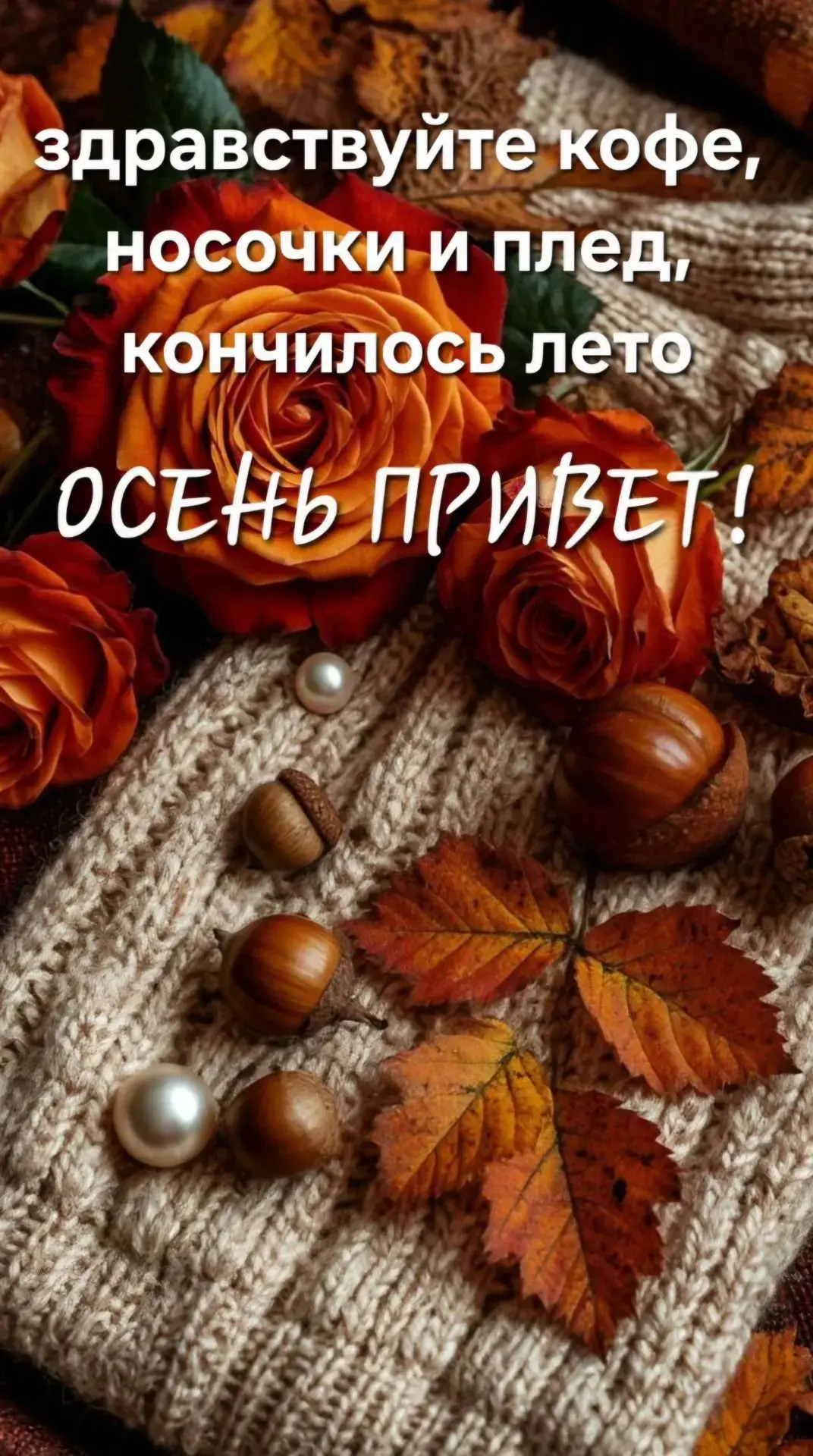 Осень🍁🍁🍁