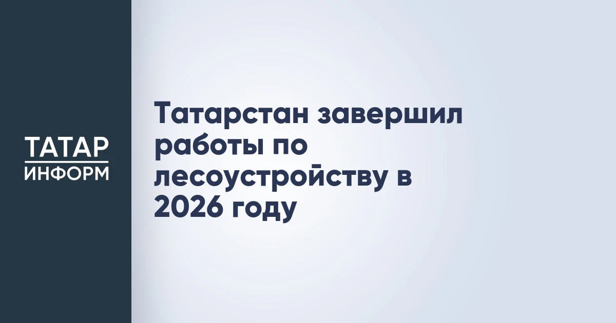 Татарстан завершил работы по лесоустройству в 2026 году