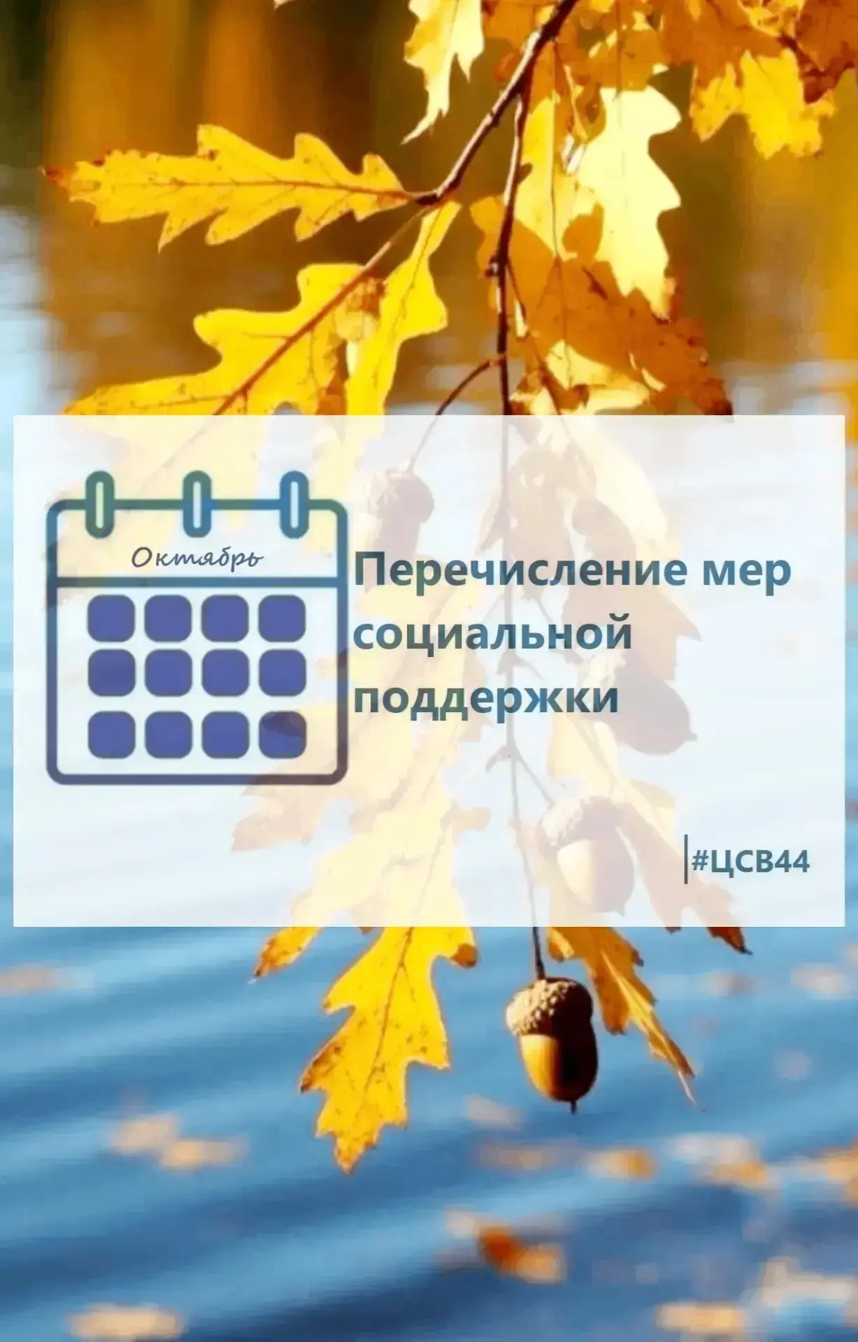⚡ Информация для получателей мер социальной поддержки г. Костромы и Костромской области!