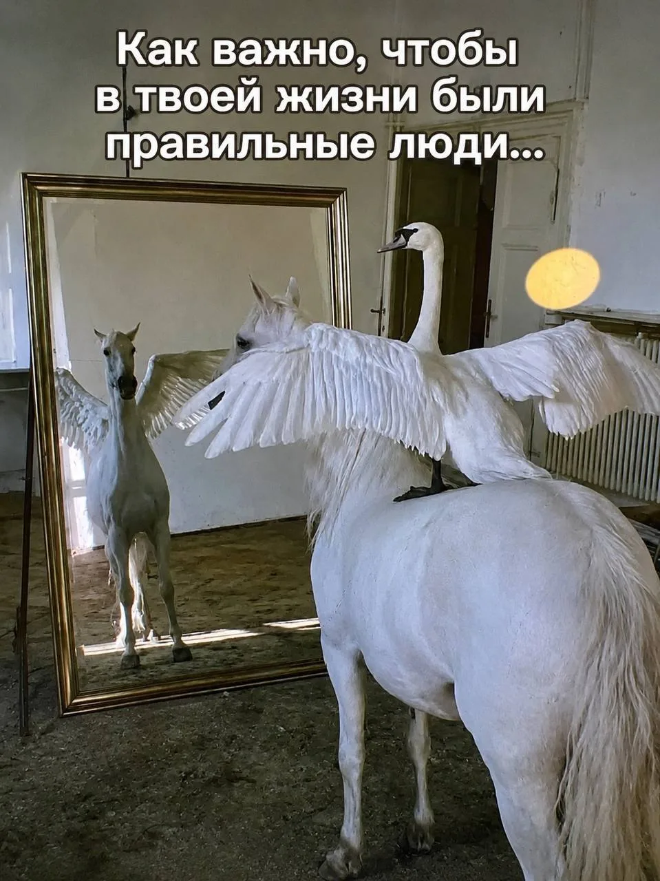 Доброе утро 😊