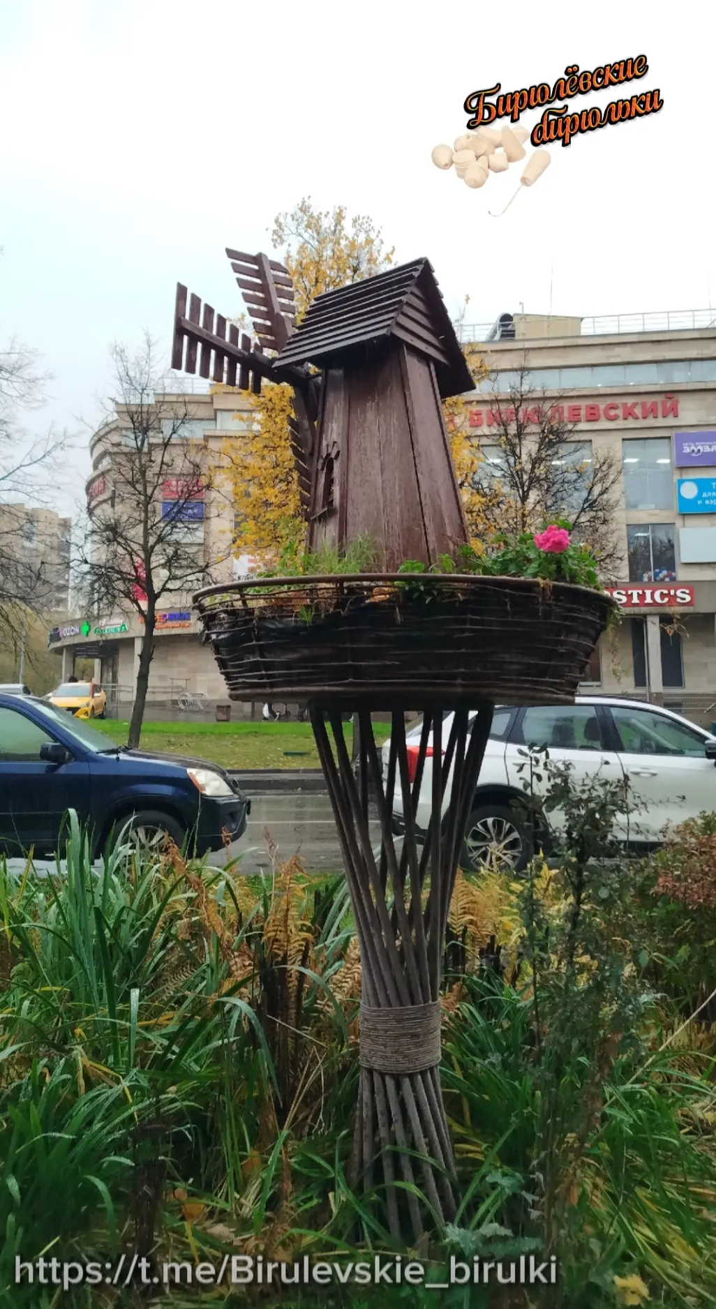 #Стопкадр 🎞️