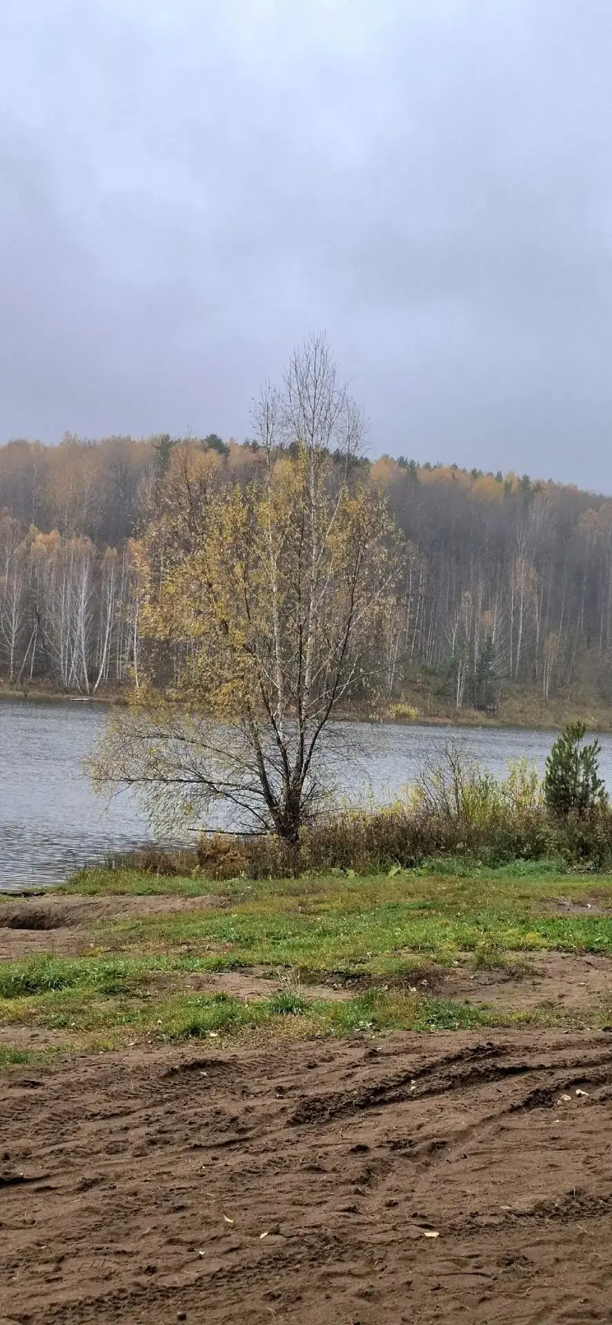 Осень... 🍁