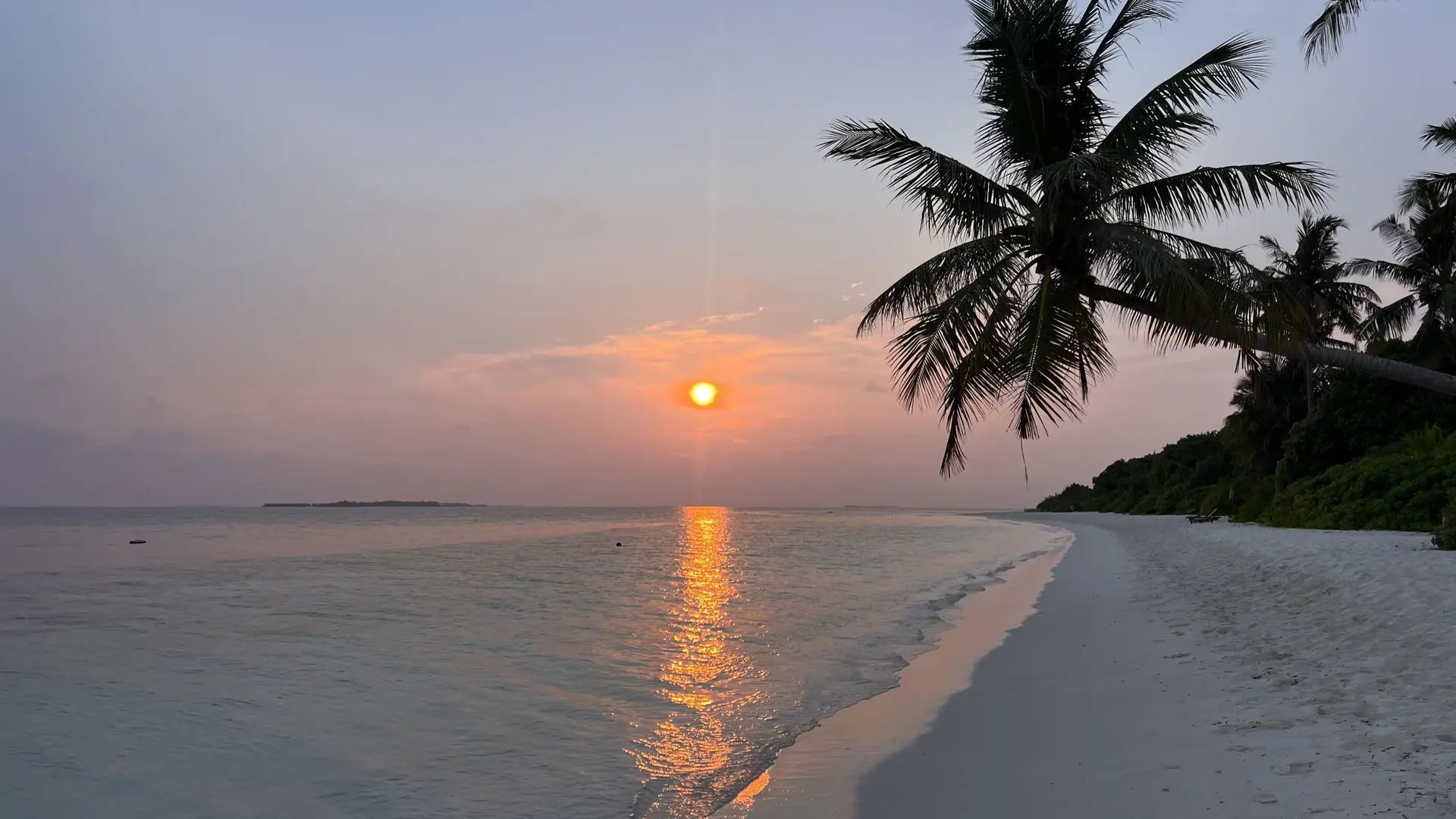 🏠 Makunudu island 4⭐️