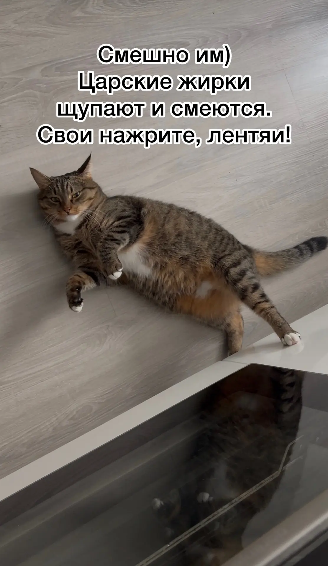 🙈Мне на днях сказали, что я беременна…