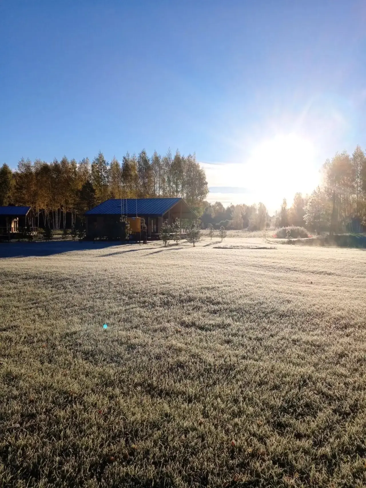 Природа 🌿 замедляется вместе с ТУНО