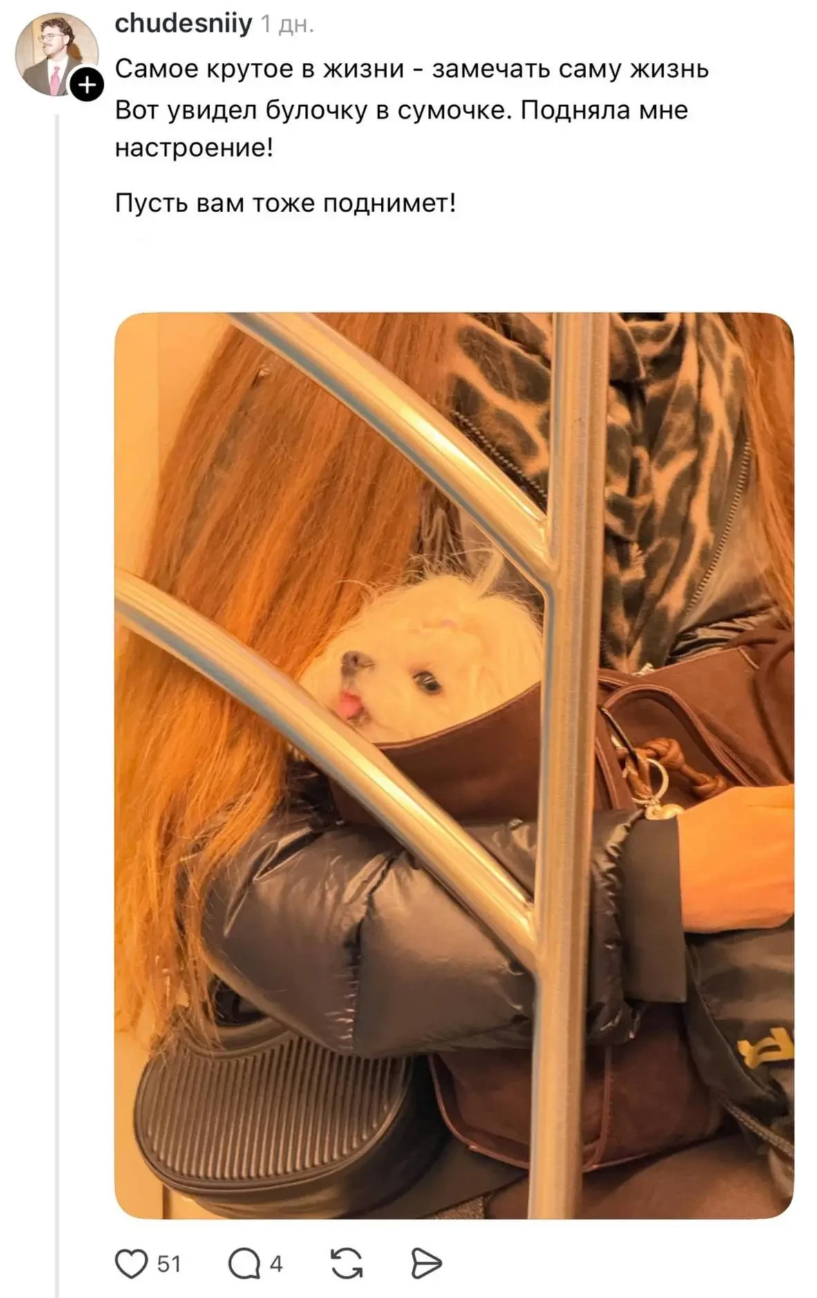 🐶 Самый милый безбилетник замечен в московском метро