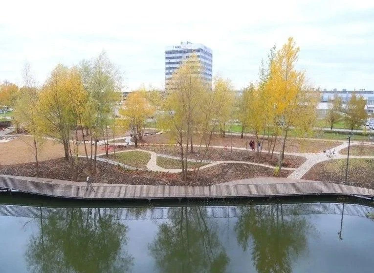 🌳 В «Ива-парке» в Ижевске привели в порядок пруд и продолжают благоустройство