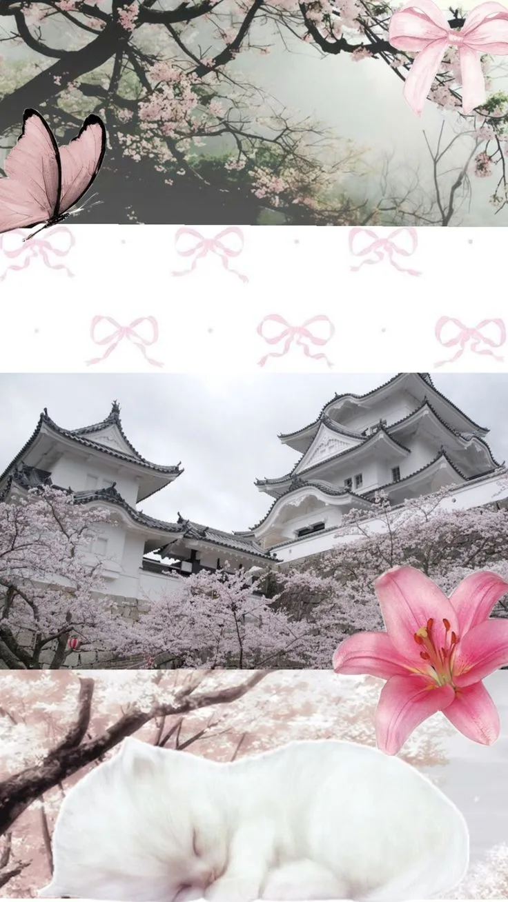 Обои с сакурой 🌸