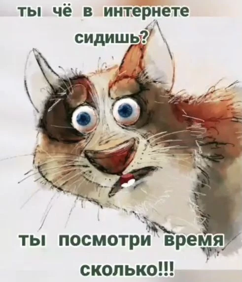 А вечер то субботний и осенний. Может гулять и сейчас?