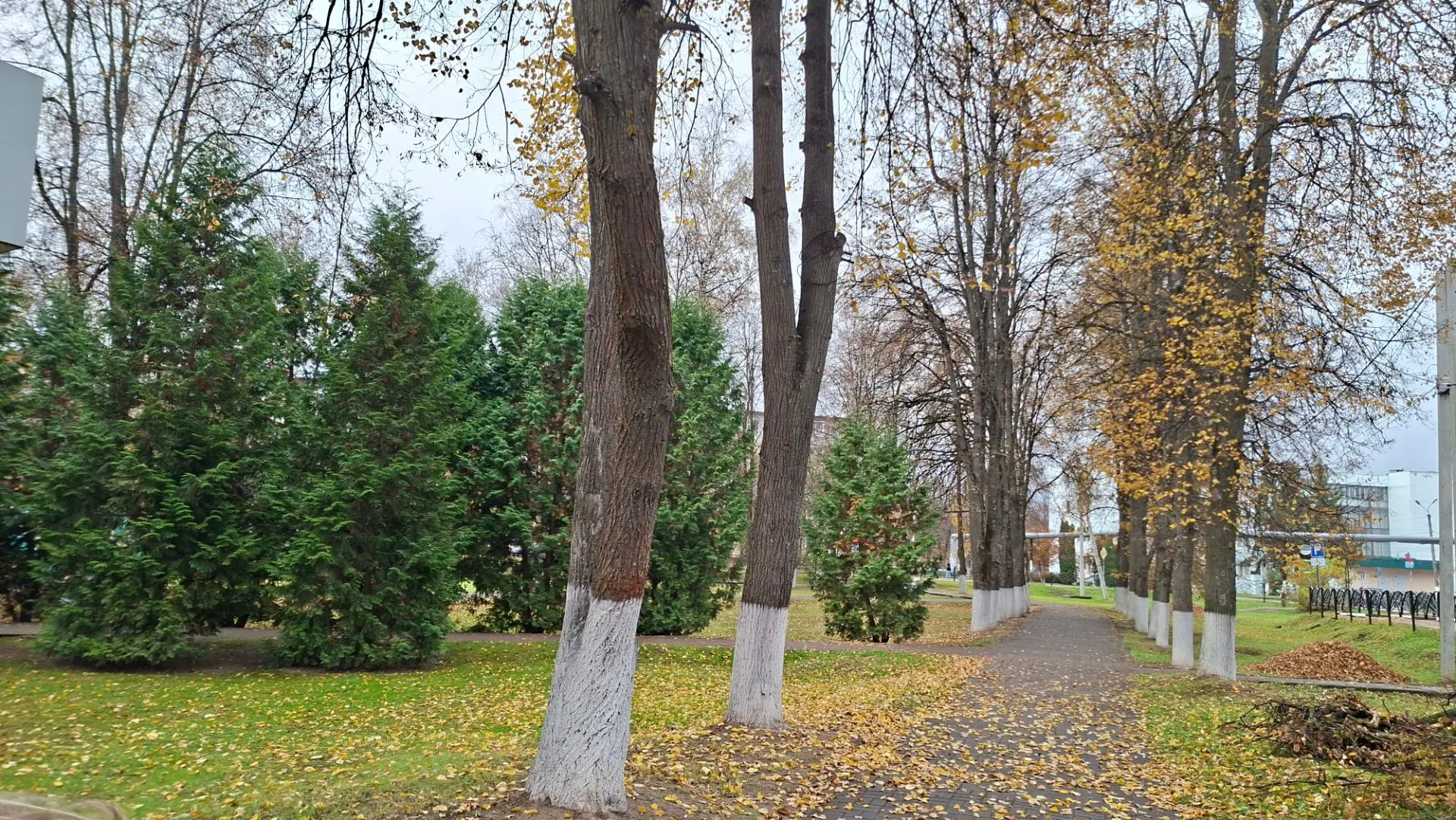Доброе утро!