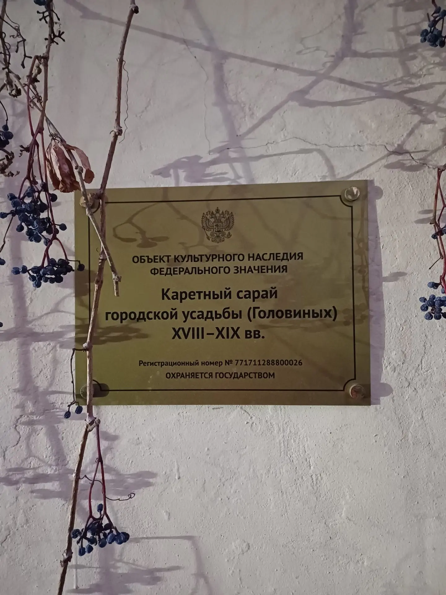 Эти фотографии ждали своего часа почти год!