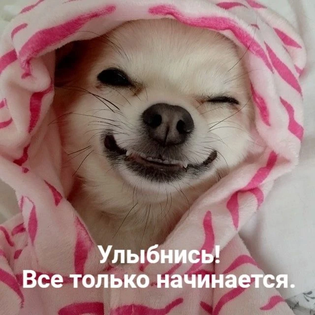 Целый выходной впереди 😎
