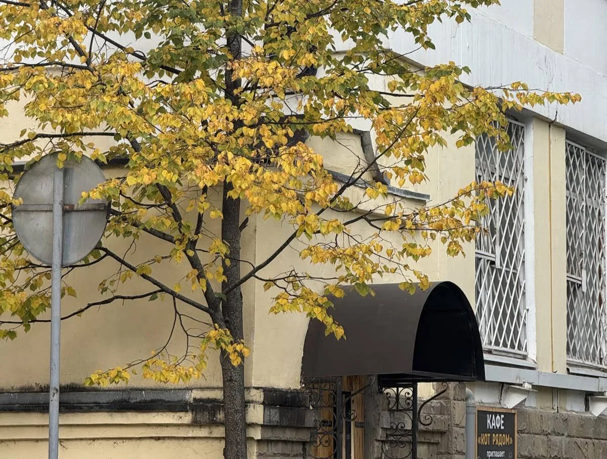 🍂 Доброе утро, Москва!