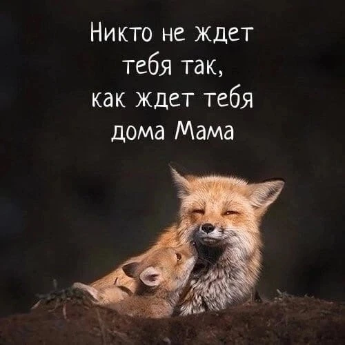 🇷🇺  Мы в МАХ : https://max.ru/dusha_angela_new