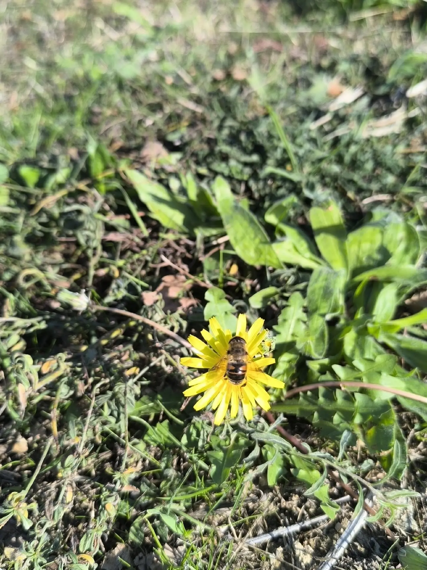☀️ Парк Ахматовой в октябре.