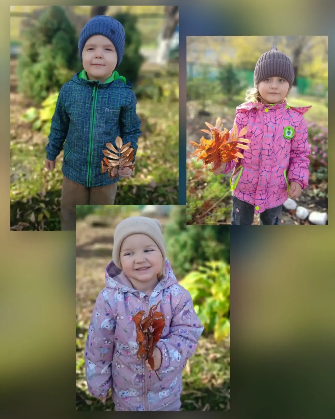 🍂 Наблюдения за красотой осенней природы!