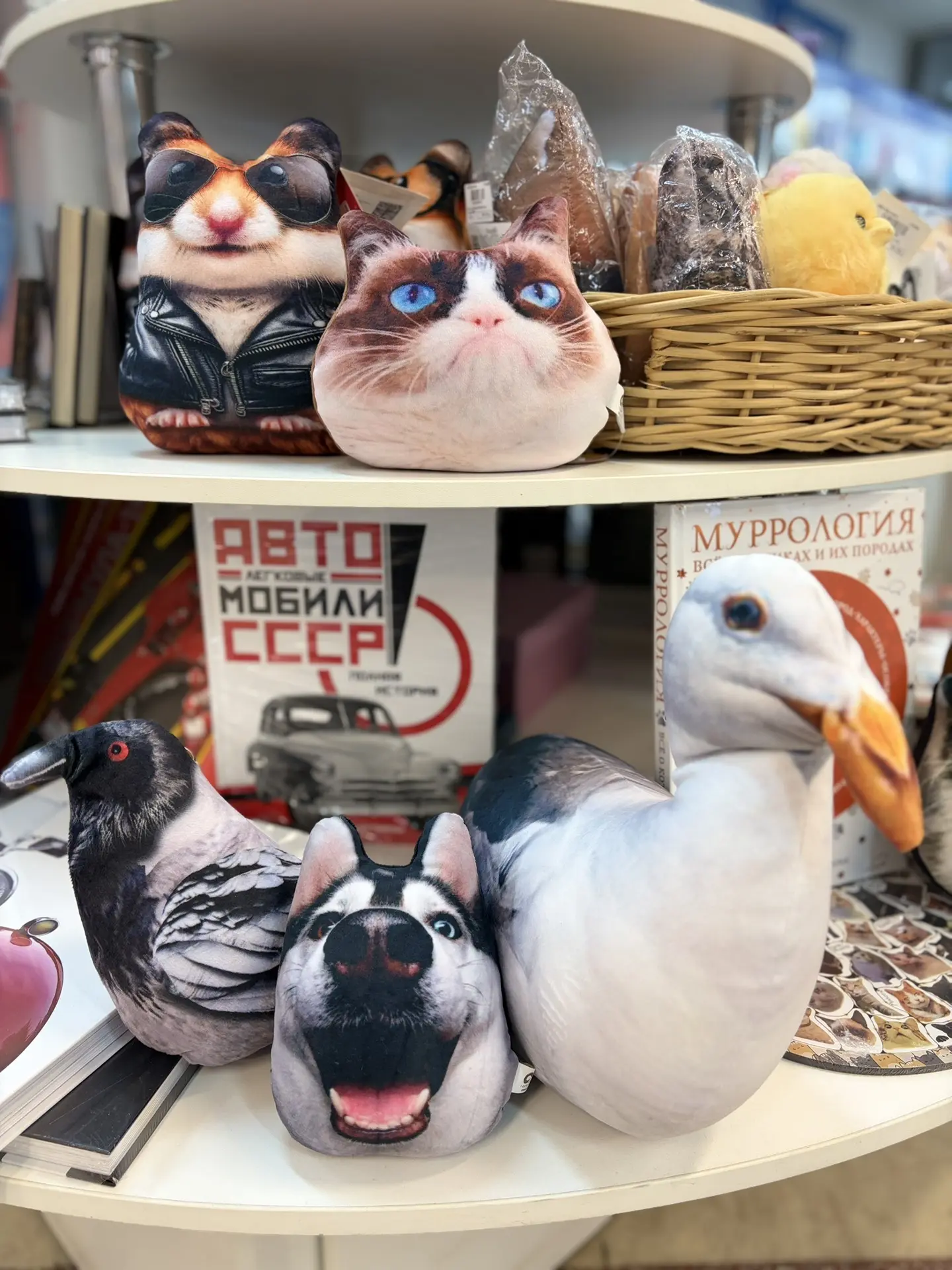 😀 Выбираем настроение дня