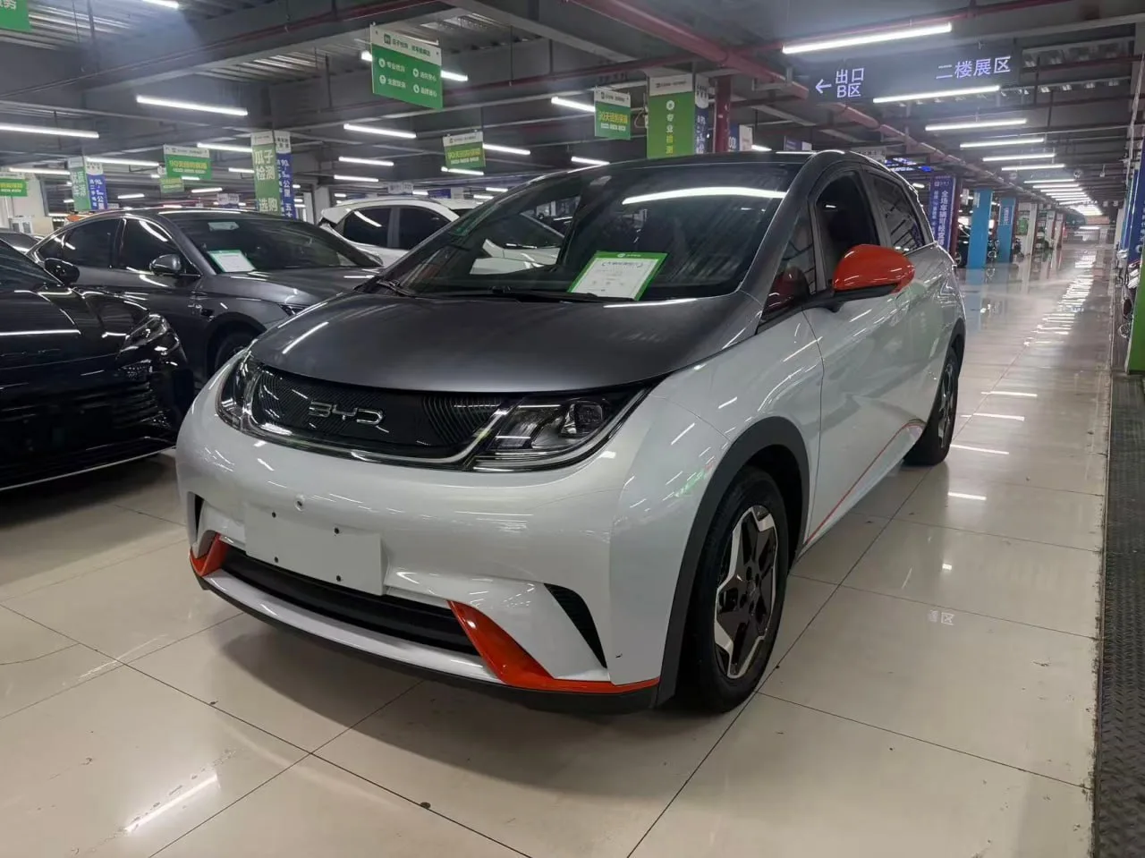 BYD Dolphin 405km🇨🇳