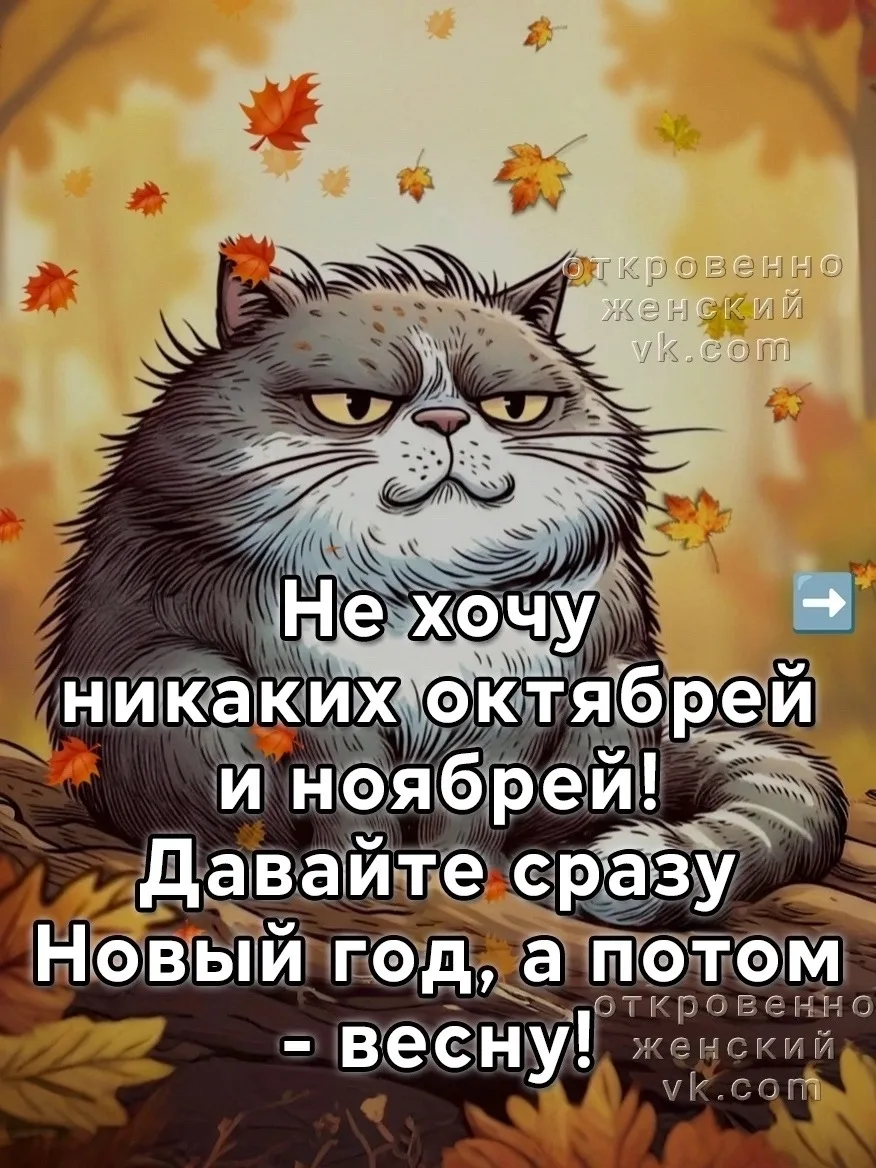 Xoчу, чтoбы этoт ОКТЯБРЬ измeнил всё...🍁🍂🌻☀