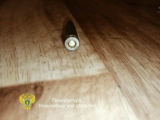 Житель Колыванского района осужден за хранение найденных патронов.