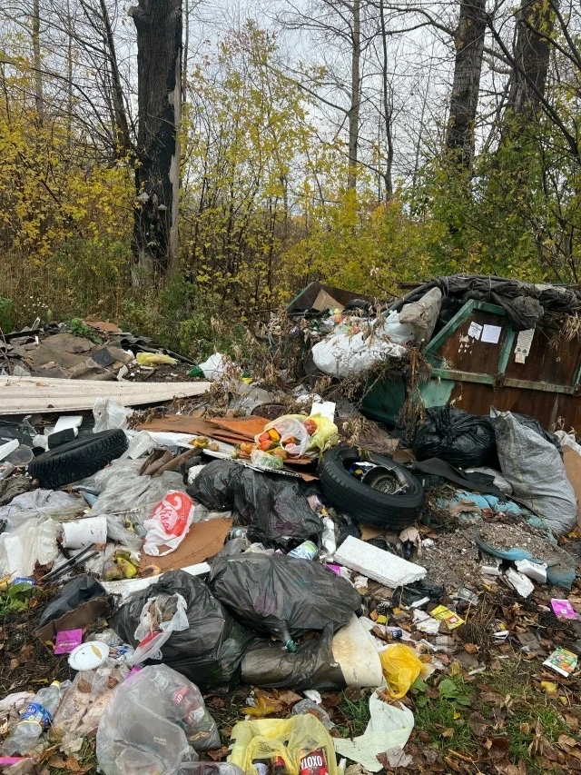От читателя.