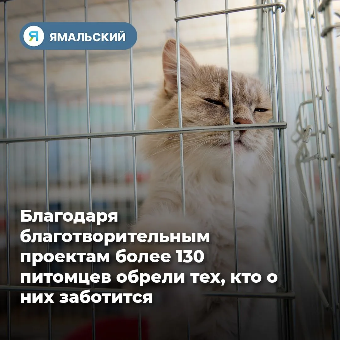 Питомцы Ямала теперь не одиноки❤️
