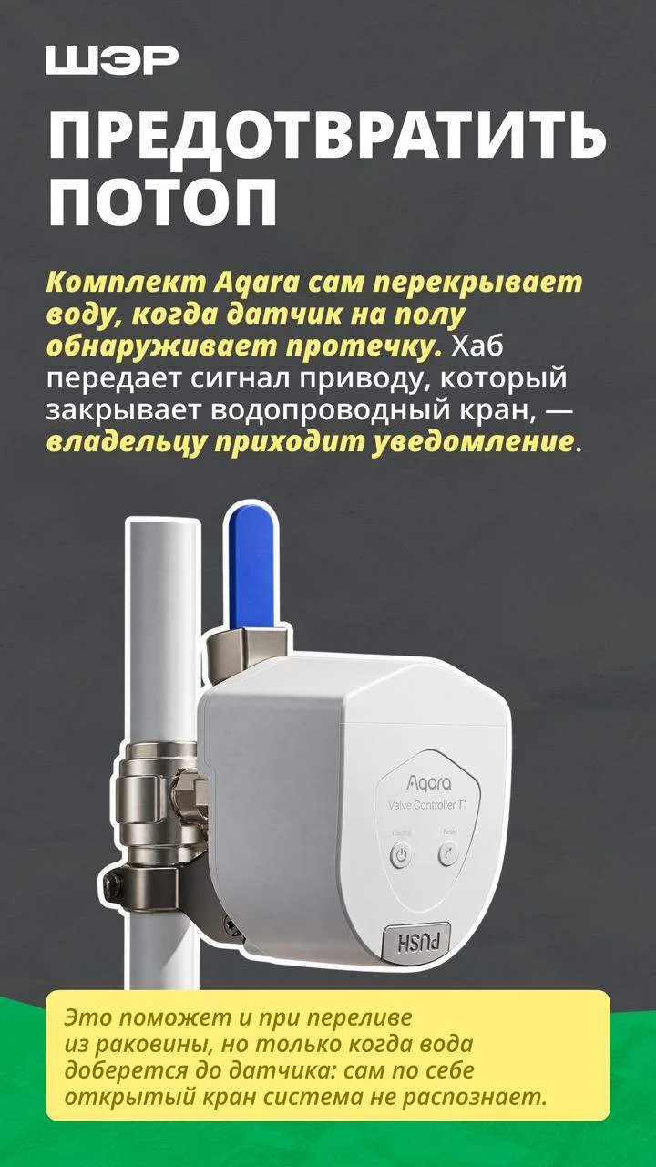 🐈🚰 Кот открыл кран, пока хозяев не было дома — ущерб от потопа превысил ₽600 тысяч. Т...